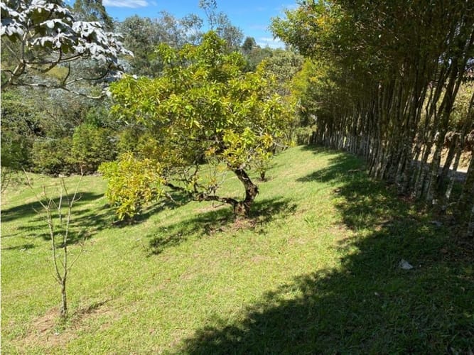 Lote en venta en El Carmen De Viboral, El Carmen de Viboral, 3300 m² · foto 7 de 16