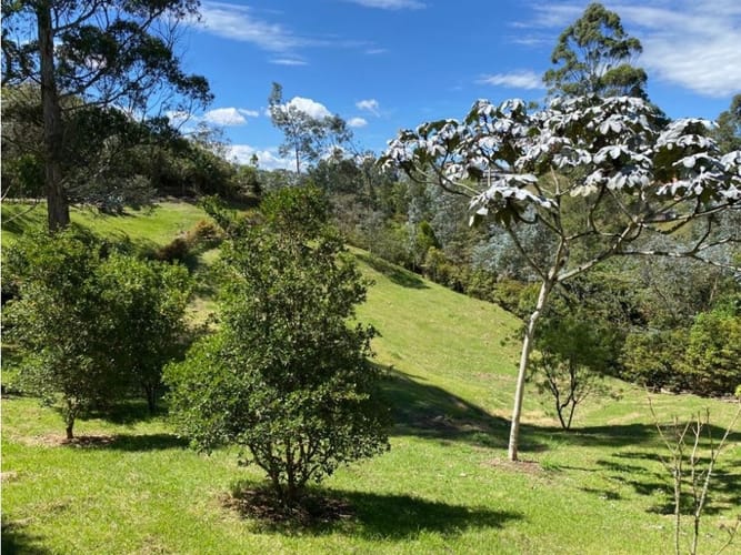 Lote en venta en El Carmen De Viboral, El Carmen de Viboral, 3300 m² · foto 8 de 16