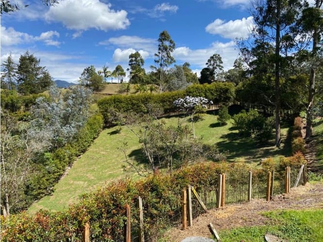 Lote en venta en El Carmen De Viboral, El Carmen de Viboral, 3300 m² · foto 9 de 16