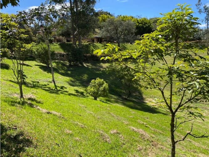 Lote en venta en El Carmen De Viboral, El Carmen de Viboral, 3300 m² · foto 11 de 16