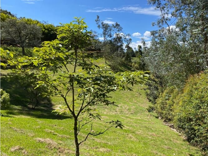 Lote en venta en El Carmen De Viboral, El Carmen de Viboral, 3300 m² · foto 13 de 16