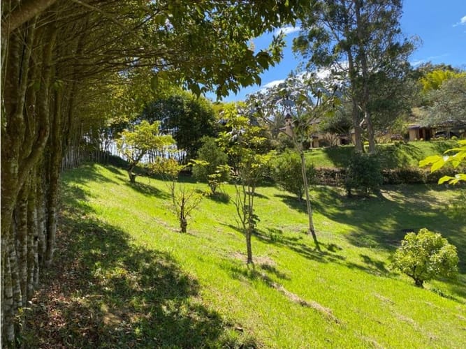 Lote en venta en El Carmen De Viboral, El Carmen de Viboral, 3300 m² · foto 14 de 16