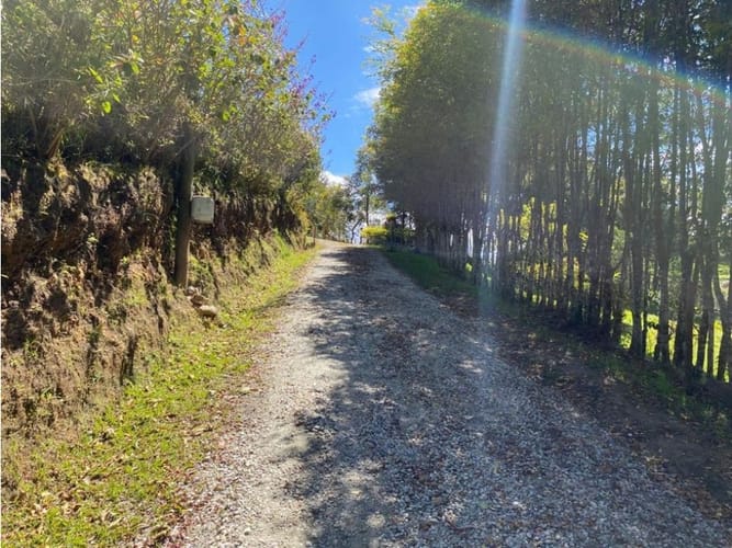Lote en venta en El Carmen De Viboral, El Carmen de Viboral, 3300 m² · foto 16 de 16