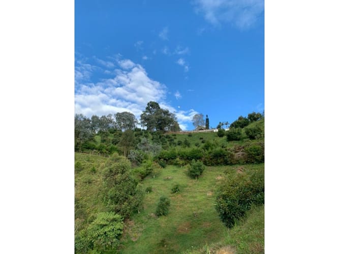 Lote en venta en Guarne, 1700 m² · foto 3 de 8