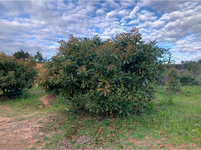 Lote en venta en Guarne, 1700 m² · foto 6 de 8