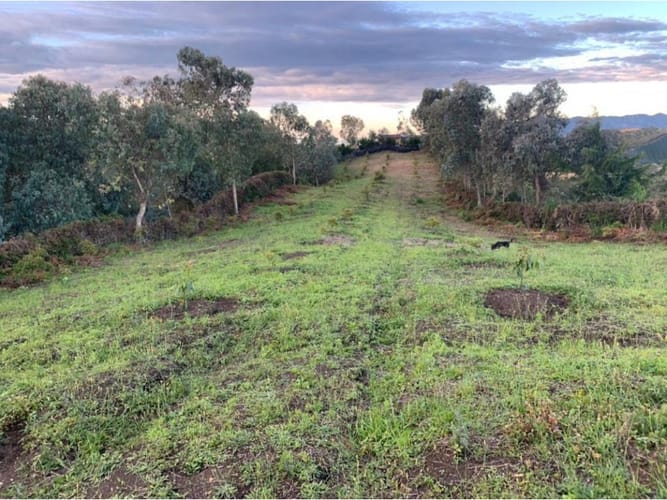 Lote en venta en Guarne, 1700 m² · foto 7 de 8