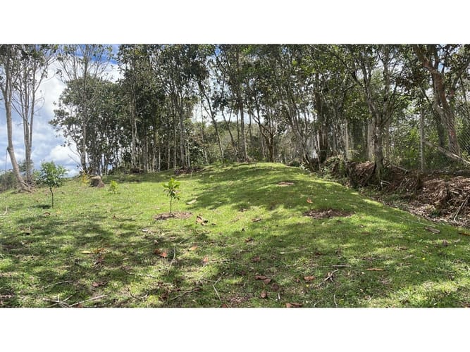 Lote en venta en El Retiro, 2800 m² · foto 6 de 6