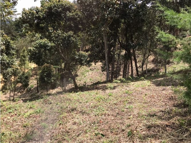 Lote en venta en Canoas, Guarne, 5000 m² · foto 2 de 6