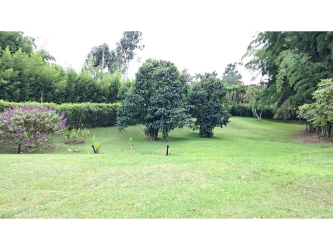 Lote en venta en El Rosal, Rionegro, 4009 m² · foto 8 de 21