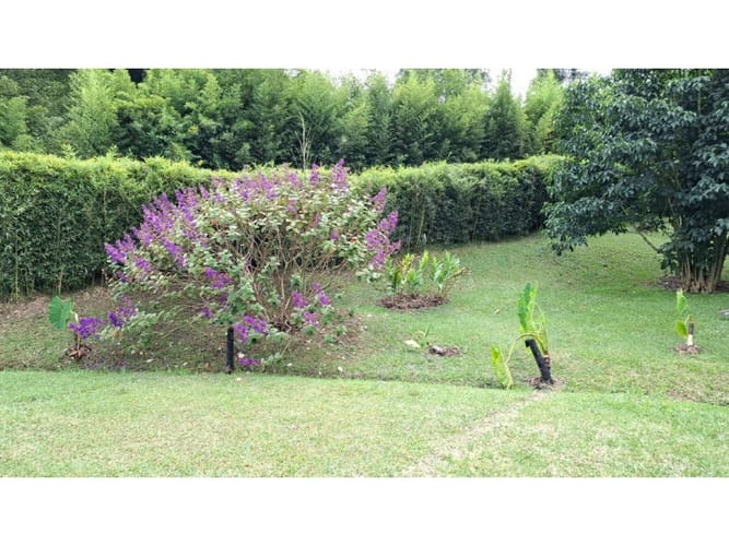 Lote en venta en El Rosal, Rionegro, 4009 m² · foto 12 de 21