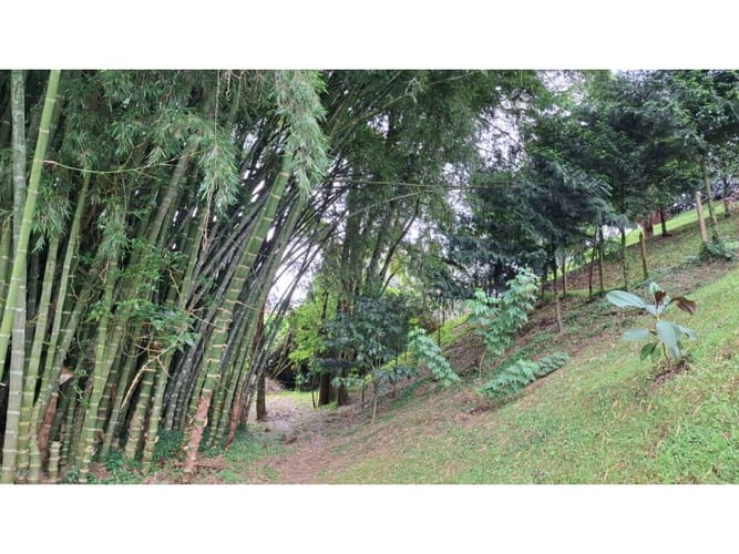 Lote en venta en El Rosal, Rionegro, 4009 m² · foto 17 de 21