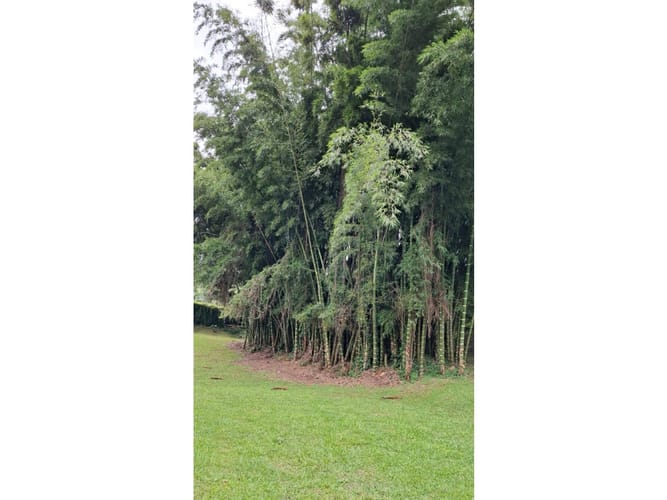 Lote en venta en El Rosal, Rionegro, 4009 m² · foto 20 de 21