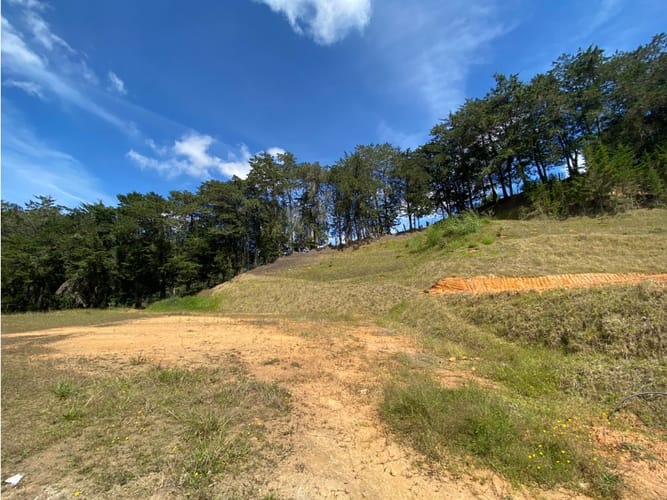 Lote en venta en San Nicolas, La Ceja, 2500 m² · foto 10 de 10