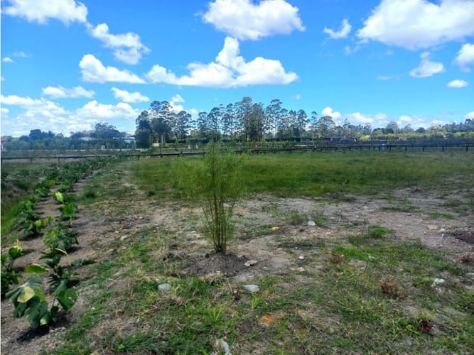 Lote en venta en Llano Grande, Rionegro, 2270 m² · foto 2 de 5