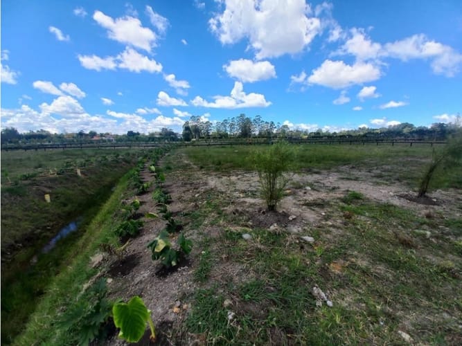 Lote en venta en Llano Grande, Rionegro, 2270 m² · foto 4 de 5