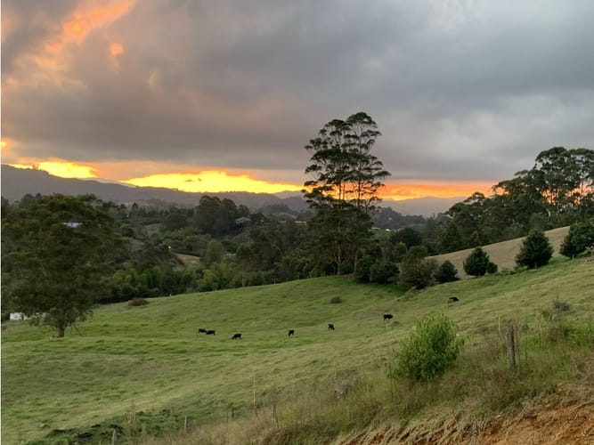 Lote en venta en El Capiro, Rionegro, 27000 m² · foto 2 de 6
