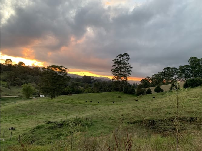 Lote en venta en El Capiro, Rionegro, 27000 m² · foto 5 de 6