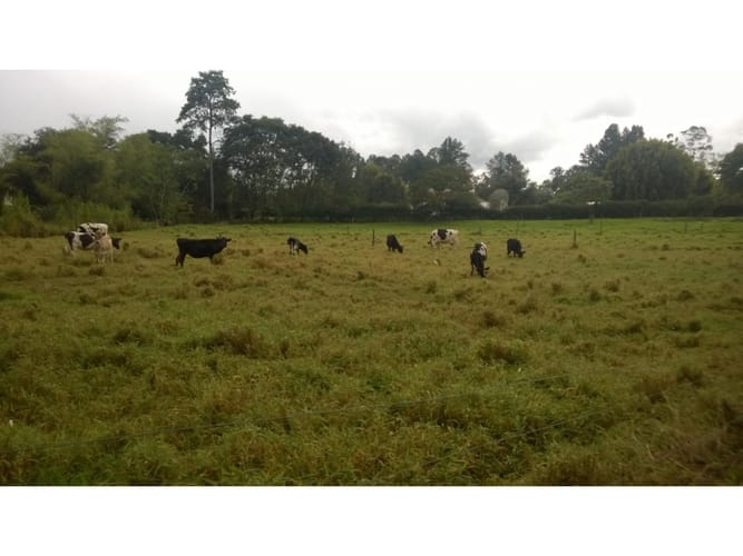 Lote en venta en Llano Grande, Rionegro, 400 m² · foto 8 de 14