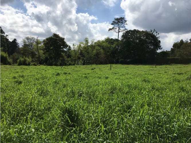 Lote en venta en Llano Grande, Rionegro, 400 m² · foto 12 de 14
