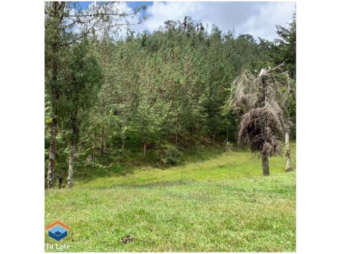Lote en venta en El Carmen De Viboral, El Carmen de Viboral, 15000 m² · foto 3 de 5