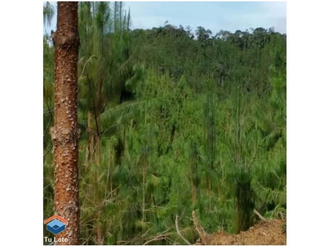 Lote en venta en El Carmen De Viboral, El Carmen de Viboral, 15000 m² · foto 4 de 5