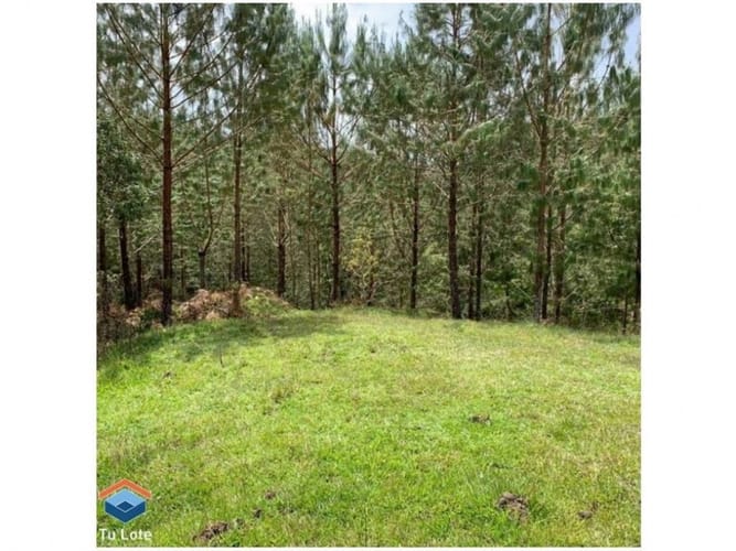 Lote en venta en El Carmen De Viboral, El Carmen de Viboral, 15000 m² · foto 5 de 5
