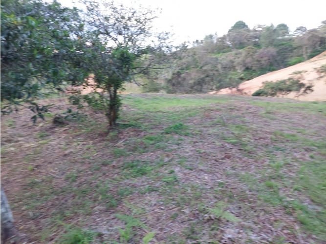 Lote en venta en La Ceja, 2962 m² · foto 9 de 9