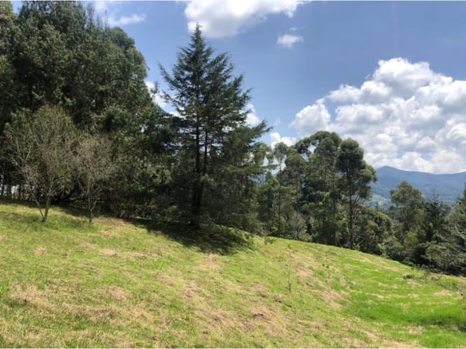 Lote en venta en Guamito, La Ceja, 18382 m² · foto 2 de 13