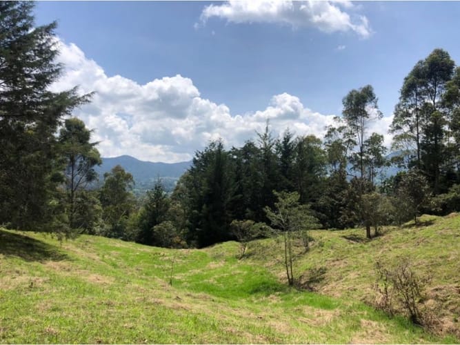 Lote en venta en Guamito, La Ceja, 18382 m² · foto 3 de 13