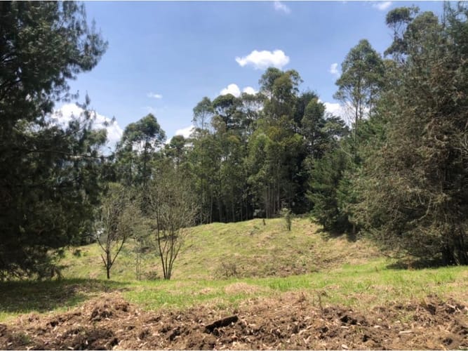 Lote en venta en Guamito, La Ceja, 18382 m² · foto 7 de 13