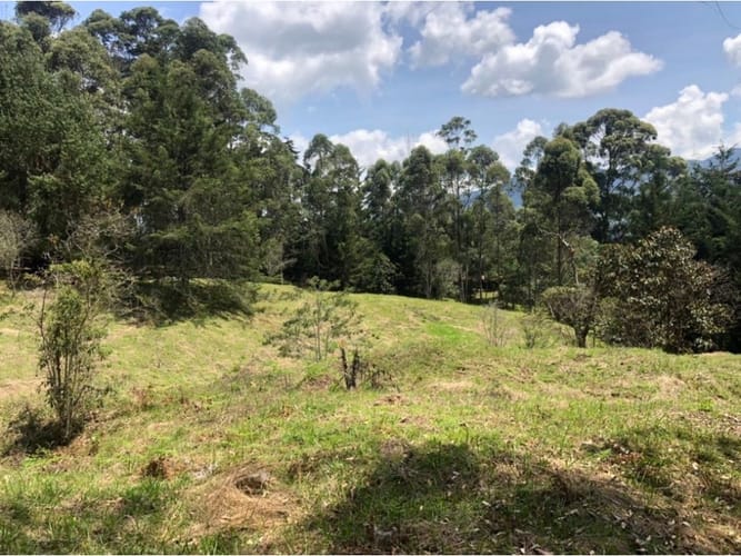 Lote en venta en Guamito, La Ceja, 18382 m² · foto 8 de 13
