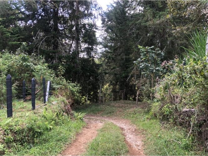 Lote en venta en Guamito, La Ceja, 18382 m² · foto 9 de 13