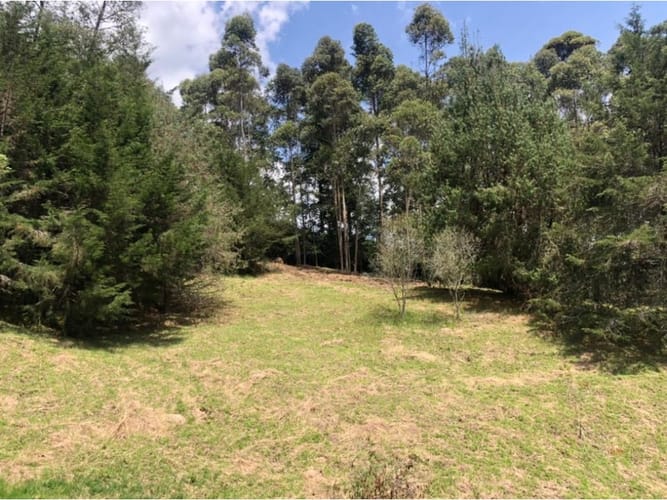 Lote en venta en Guamito, La Ceja, 18382 m² · foto 10 de 13