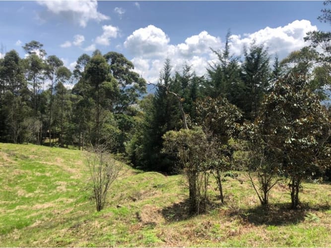 Lote en venta en Guamito, La Ceja, 18382 m² · foto 12 de 13