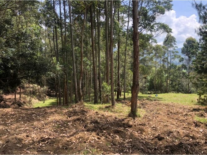 Lote en venta en Guamito, La Ceja, 18382 m² · foto 13 de 13