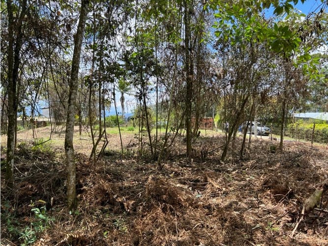 Lote en venta en La Laja, Rionegro, 7950 m² · foto 5 de 6