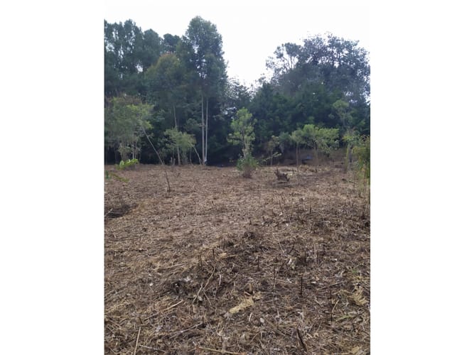 Lote en venta en San Lorenzo, Rionegro, 8420 m² · foto 2 de 5