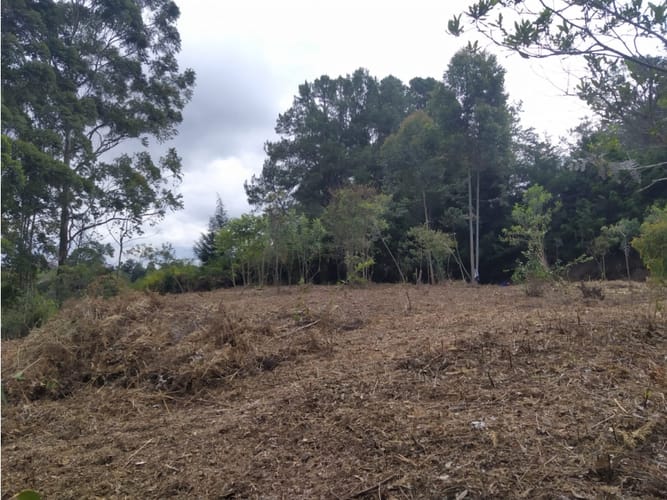 Lote en venta en San Lorenzo, Rionegro, 8420 m² · foto 3 de 5
