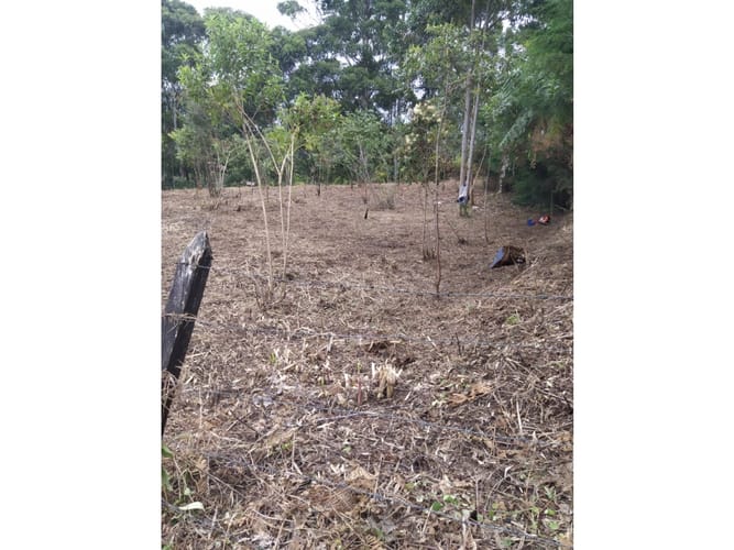 Lote en venta en San Lorenzo, Rionegro, 8420 m² · foto 4 de 5