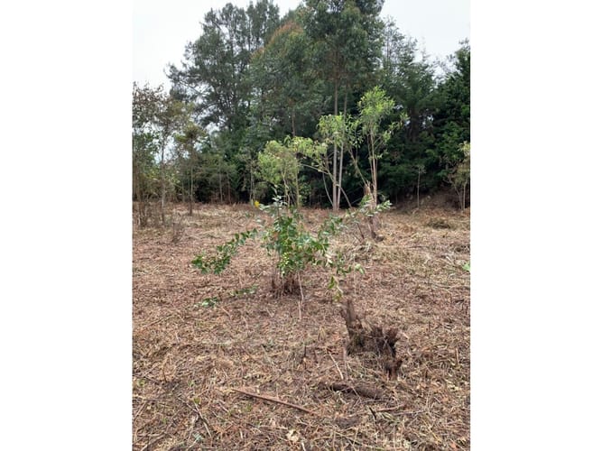 Lote en venta en San Lorenzo, Rionegro, 8420 m² · foto 5 de 5