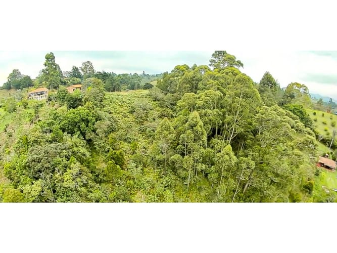 Lote en venta en San Lorenzo, Rionegro, 8300 m² · foto 8 de 11