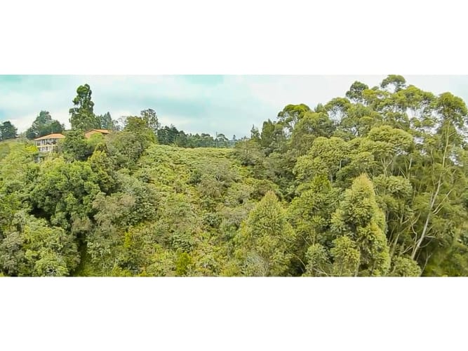 Lote en venta en San Lorenzo, Rionegro, 8300 m² · foto 10 de 11