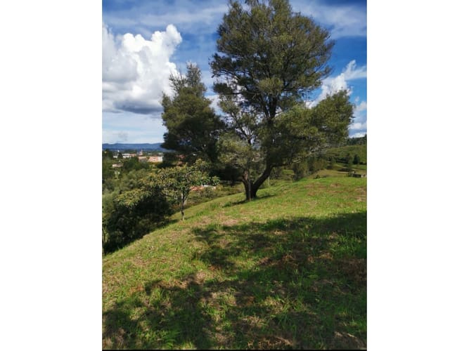 Lote en venta en Sajonia, Rionegro, 3360 m² · foto 2 de 10