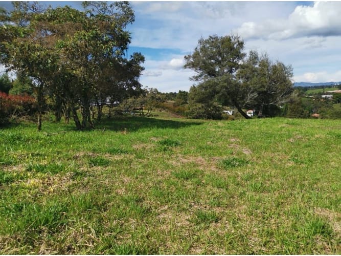 Lote en venta en Sajonia, Rionegro, 3360 m² · foto 3 de 10