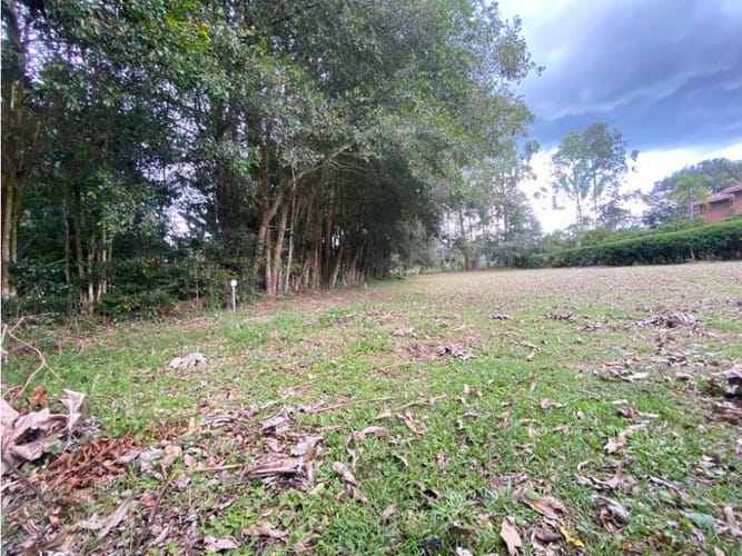 Lote en venta en Llano Grande, Rionegro, 1600 m² · foto 3 de 3