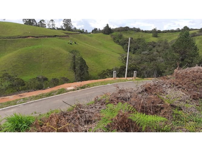 Lote en venta en Quirama, El Carmen de Viboral, 2993 m² · foto 2 de 4