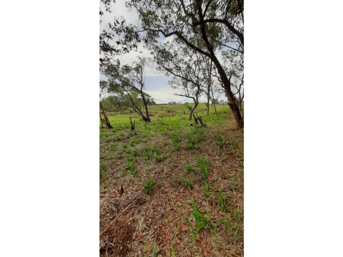 Lote en venta en Quirama, El Carmen de Viboral, 2993 m² · foto 3 de 4