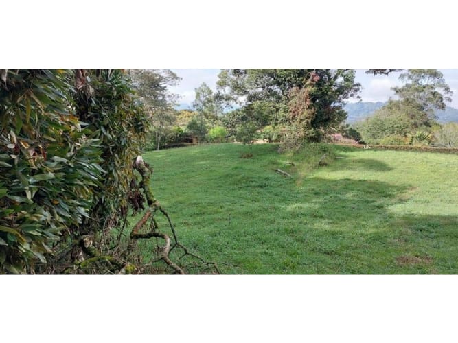 Lote en venta en Guamito, La Ceja, 5231 m² · foto 9 de 24