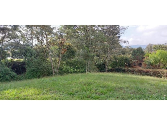 Lote en venta en Guamito, La Ceja, 5231 m² · foto 10 de 24