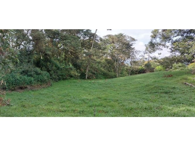 Lote en venta en Guamito, La Ceja, 5231 m² · foto 11 de 24